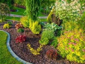 Last-Minute Fall Gardening: What to Plant Now